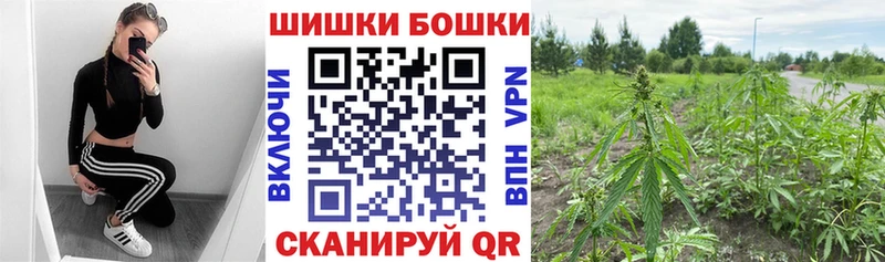 Канабис план  Клинцы 